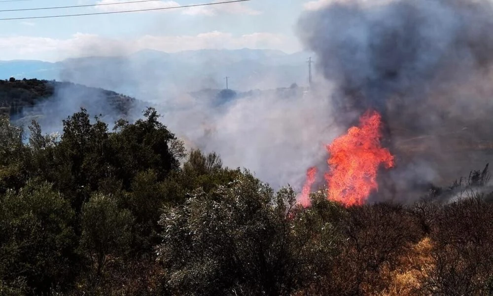 Φωτιά στην Ηλεία: Ήχησε το 112 - Εκκενώστε προς Αμαλιάδα